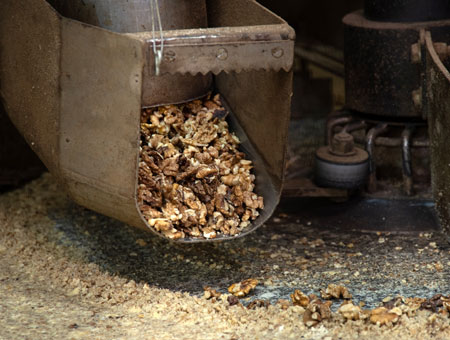 Trémie distribuant les cerneaux de noix